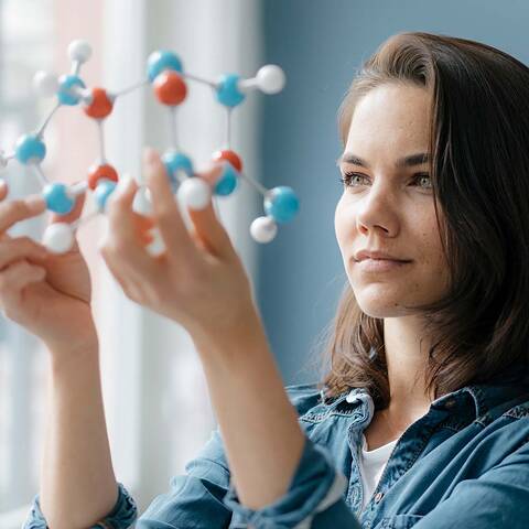 知識と教育 GoetheInstitut 日本