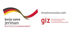 giz logo final