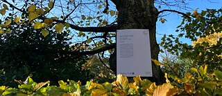As part of our poetry trail newly commissioned work from some of the most exciting poets in Scotland, France and Germany is exhibited in our building and gardens.