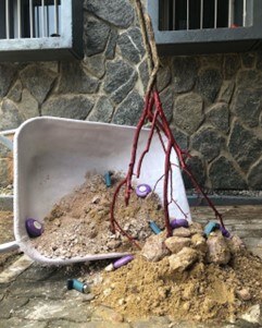 Une r'Ekpe (Song of the Soil) &copy; ©Stacey Ravvero Une r'Ekpe (Song of the Soil)