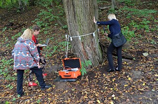 Diagnostika letitých stromů prováděná zahradnicemi pomocí přístroje Arbotom