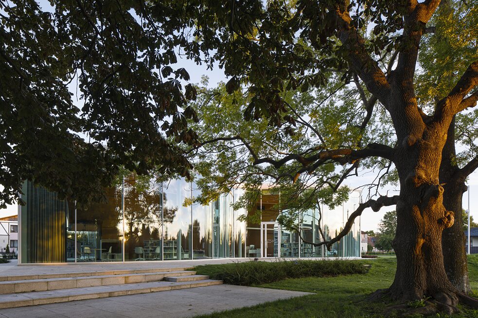 Pie ēkas aug hibrīdie alkšņi, kas jau sasnieguši dižkoka statusu