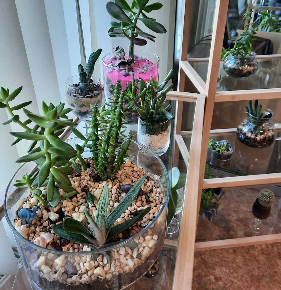 Florarium 