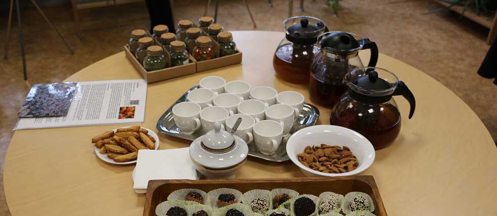 Tee-Workshop in der Grünen Bibliothek des Kompetenzentwicklungszentrums der Region Jelgava (ZRKAC)