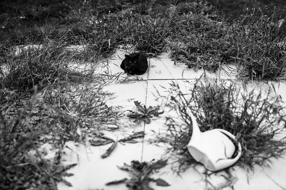 Fotka z knihy Nahrádka