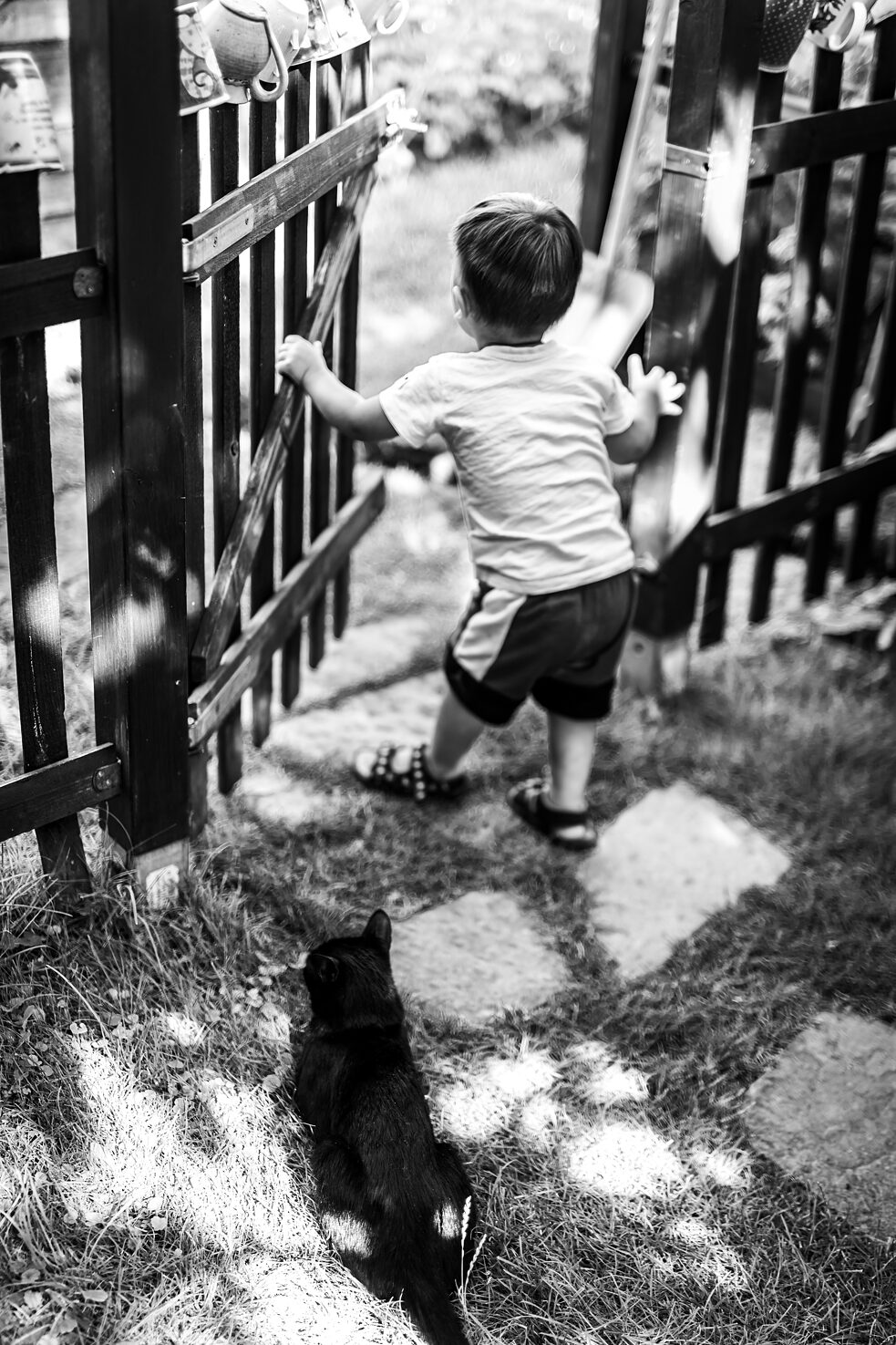   Fotografie aus dem Buch Nahrádka