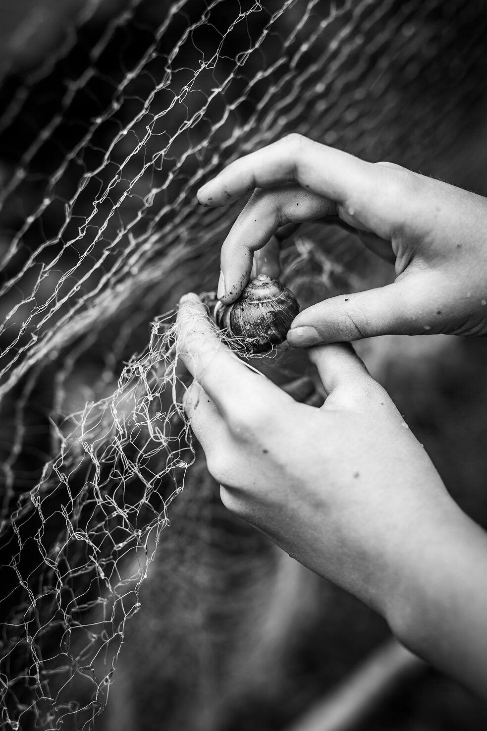 Fotografie aus dem Buch Nahrádka