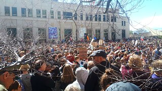 Climate strike in Wellington