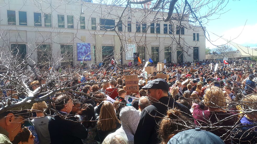 Climate strike in Wellington