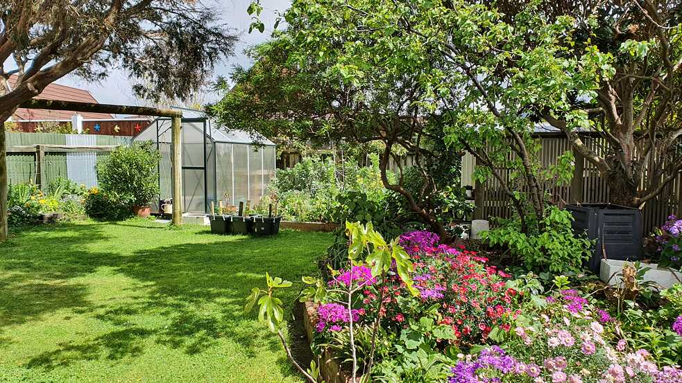 vegetable garden