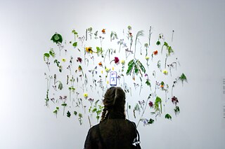 Bild aus der traditionellen Ausstellung ART START: Junge Künstler*innen, die man 2023 auf dem Schirm haben sollte