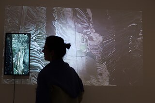 Bild aus der Ausstellung Nature Morte von Nikola Stoyanov