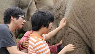 Teilnehmende kommen mit Elefanten in Chiang Mai in Berührung. © Another way of Seeing