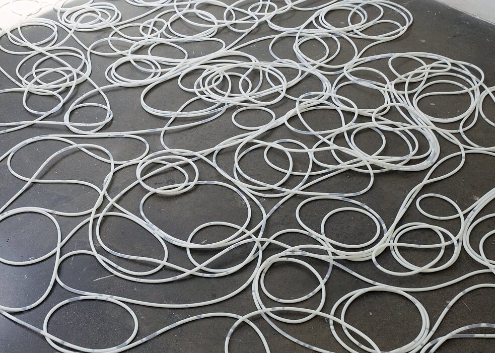 Ani Liu, Feeding through space and time