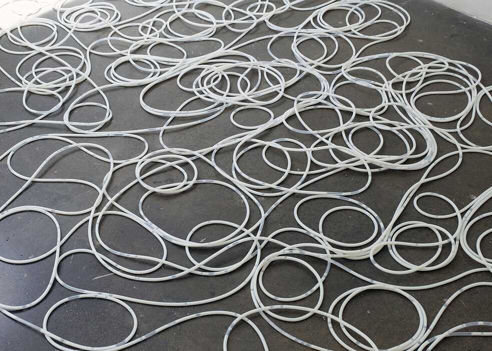Ani Liu, Feeding through space and time
