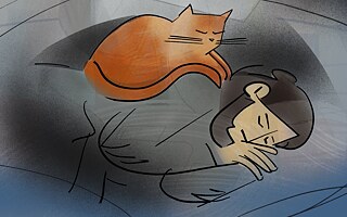 «Це бліндаж великого рудого кота»