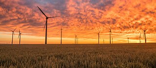 Photo is showing Wind turbines in a corn field during sunset. 