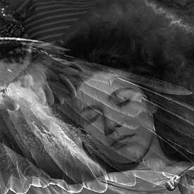 Wings of Desire