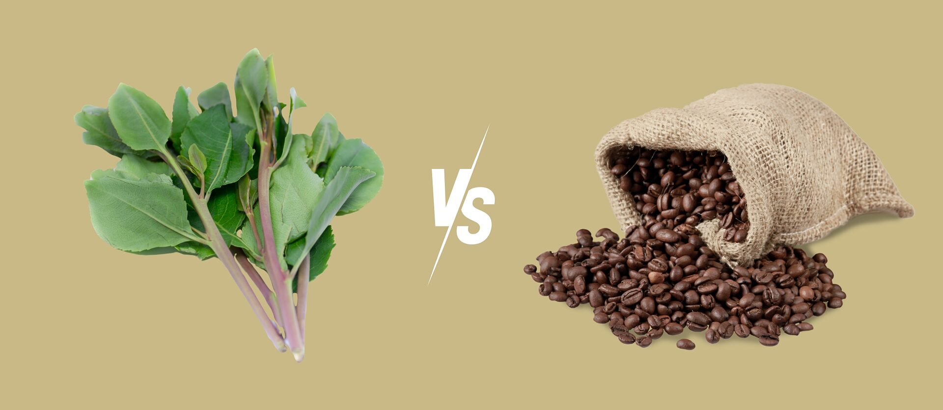 Yemen Wakes up to Coffee as Farmers Cut Qat - Perspectives from North  Africa and the Middle East - Ruya - Goethe-Institut