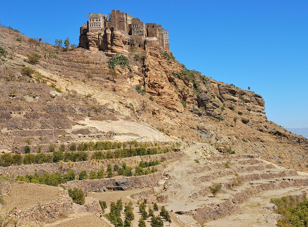 Plantation de café traditionnelle près d'un village de montagne dans l'est de Haraz, au Yémen.