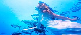 Ein Mädchen taucht mit einem Fischschwarm im Meer. 