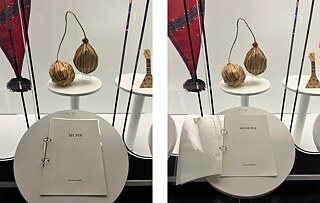 REINVENTING GRASSI.SKD, GRASSI Museum für Völkerkunde zu Leipzig