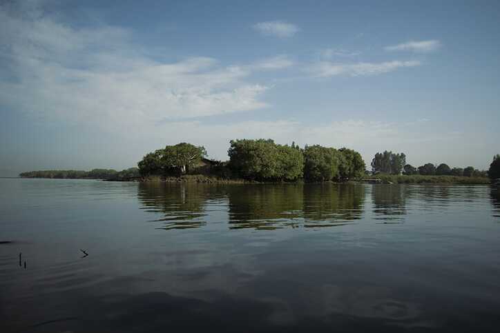 Serene