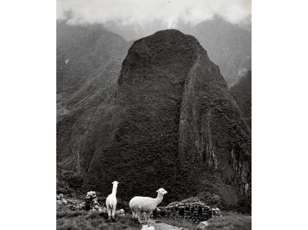 Der Berg Phutuq K’usi (ca. 1970er Jahre)