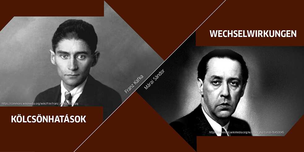 Wechselwirkungen_Literatur