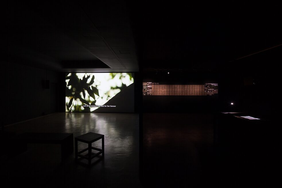 The Sovreign Forest - 2