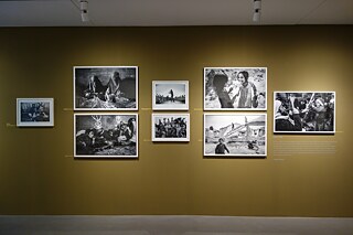 The Interior: A Special Issue on Iran