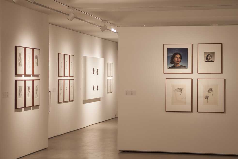Selected drawings, objects and video works: R. Trockel, Gallery MMB, 2014-2015
