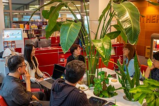 Exchange of ideas in in-depth conversations about the development of the projects.