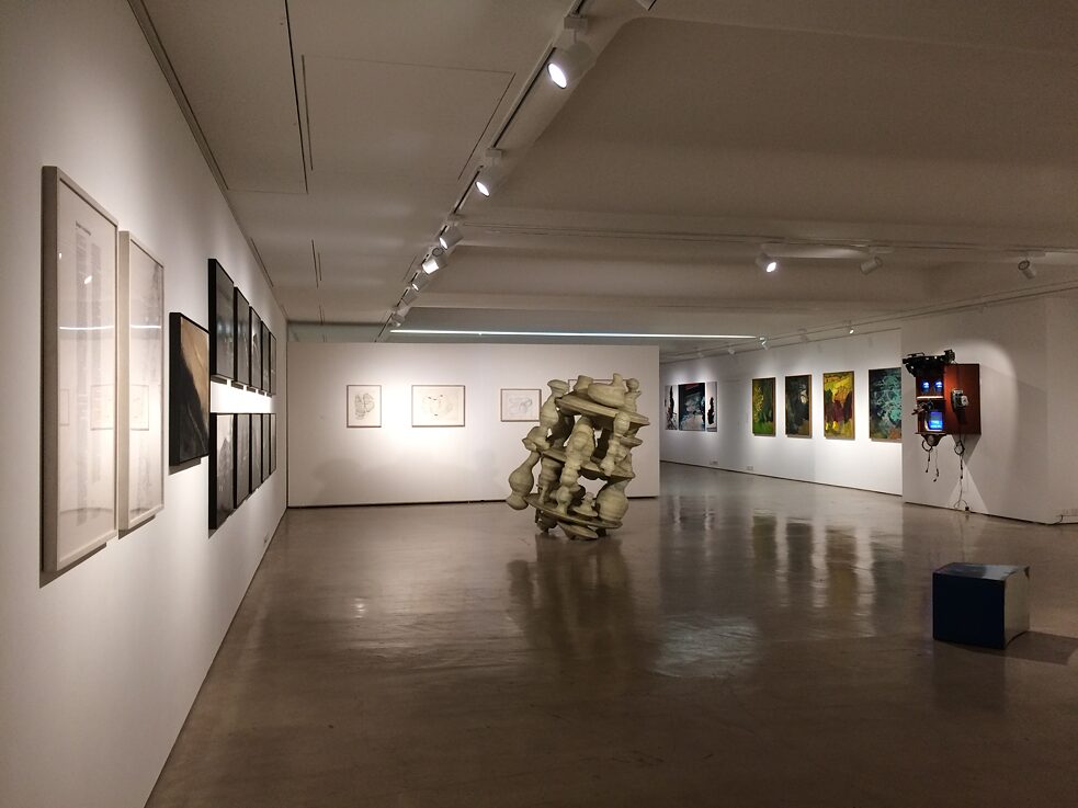 Kunstraum Deutschland; ifa - Mumbai 2017, 1