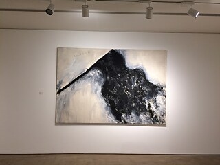 Kunstraum Deutschland; ifa - Mumbai 2017, 3