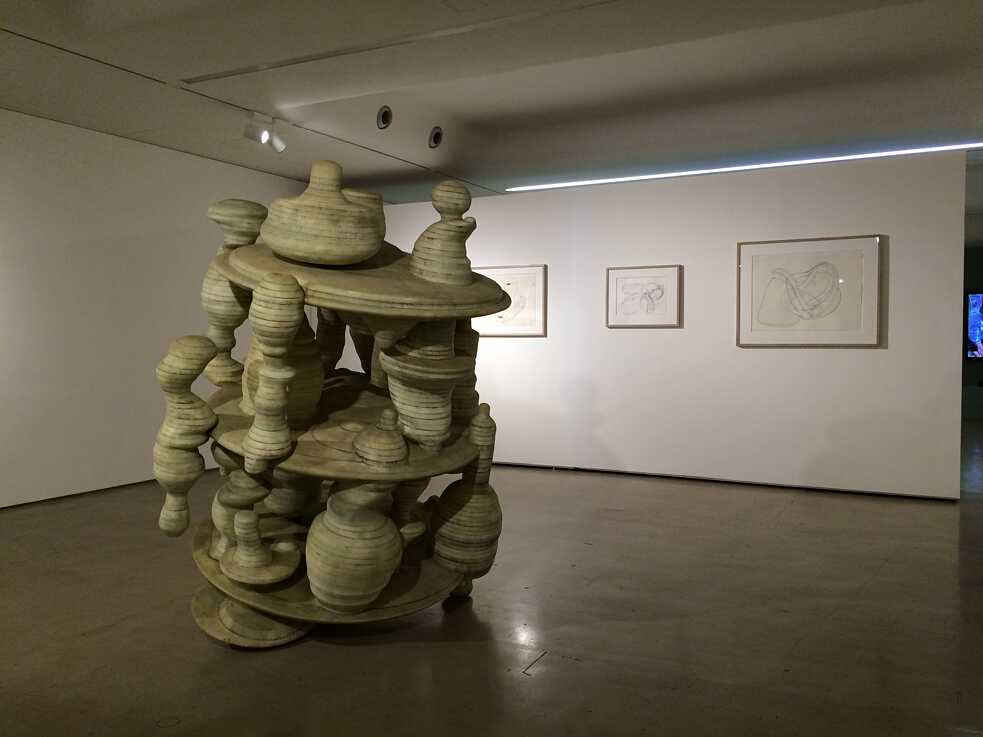 Kunstraum Deutschland; ifa - Mumbai 2017, 5