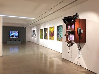 Kunstraum Deutschland; ifa - Mumbai 2017, 7