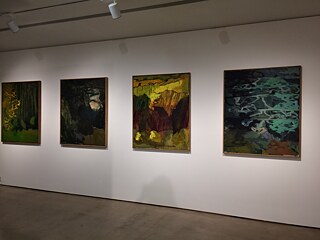 Kunstraum Deutschland; ifa - Mumbai 2017, 8