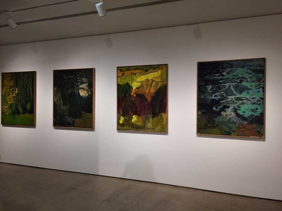 Kunstraum Deutschland; ifa - Mumbai 2017, 8
