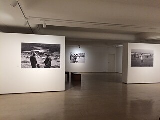 My analogue world -2