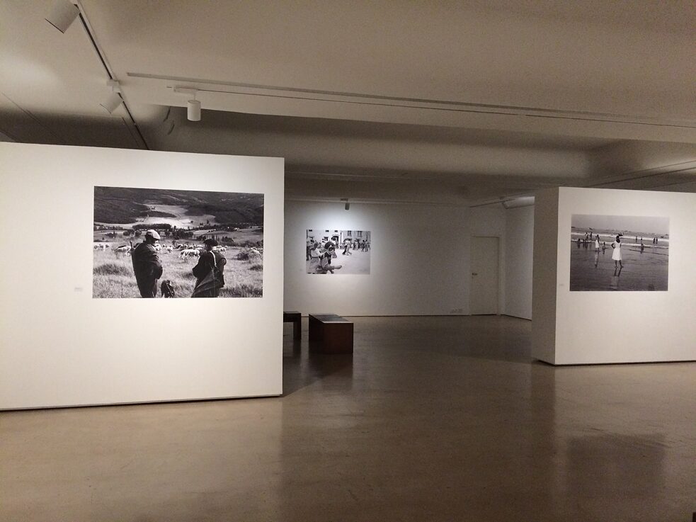 My analogue world -2