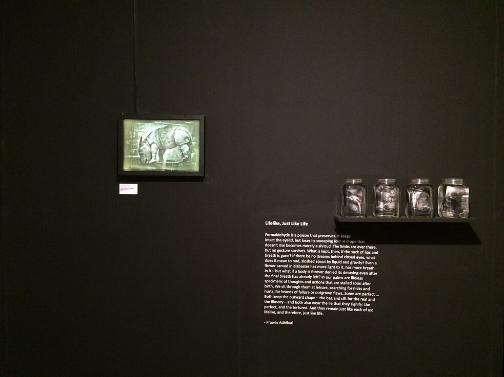 SCOPE - PIX: NEPAL ISSUE, Mumbai