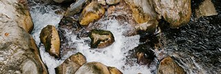 Water flows over large stones