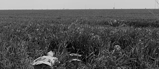 Dokumentarfotograf Marius Ionut Scarlat, dessen Werke in der Ausstellung „Then and Again“ in Thessaloniki zu sehen sind, interessiert sich vor allem für die sozialen Probleme Rumäniens. | Foto (Ausschnitt): © Marius Ionut Scarlat