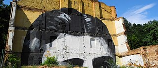 Ja, erkrankt (1917) | Tuberkulose; Todesurteil, zugleich Erlösung