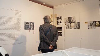 x, y, and in-between 