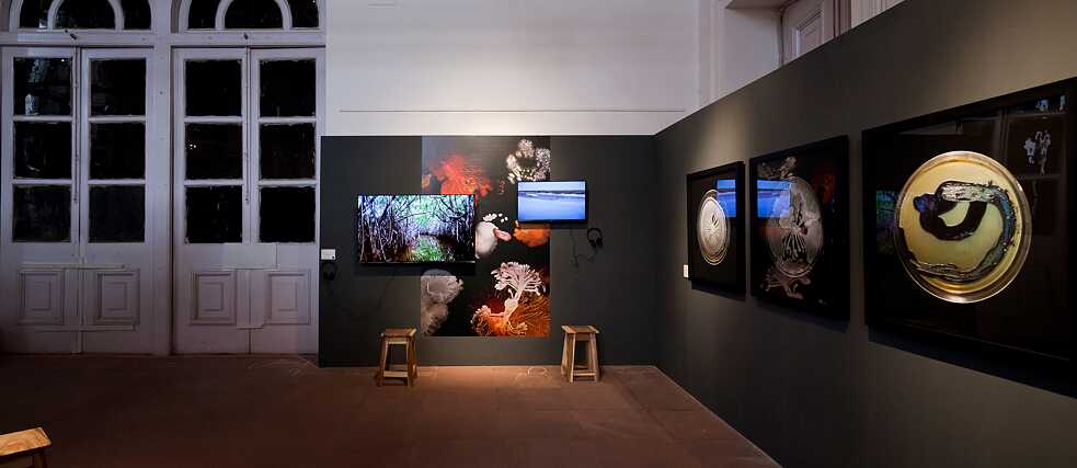 CZ Kol Exhibition 7
