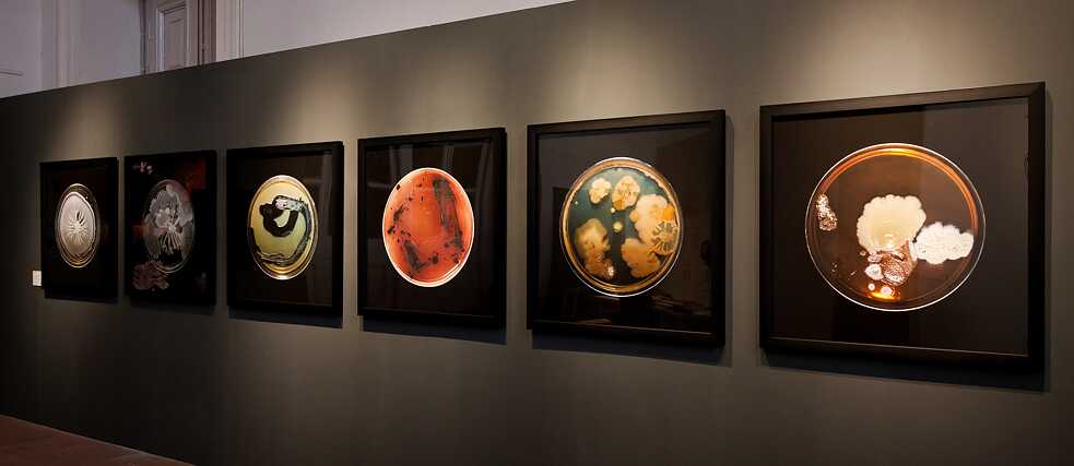 CZ Kol Exhibition 8