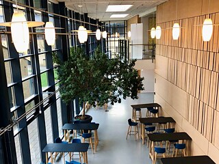 Das Auditorium der Marie Kruses Skole 