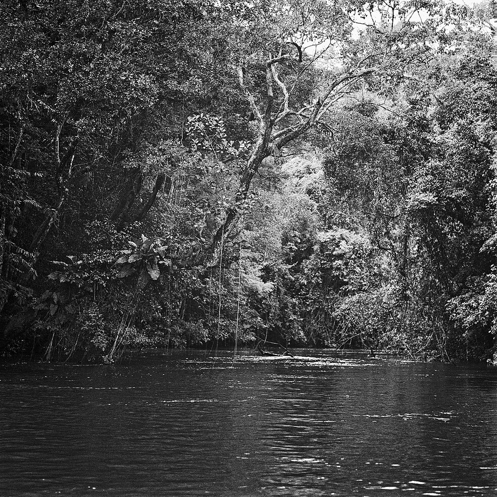 Das Projekt „Kosmoperzeptionen des Waldes“ macht deutlich, wie viel wir von Wäldern lernen können | Foto: © Edu Simões